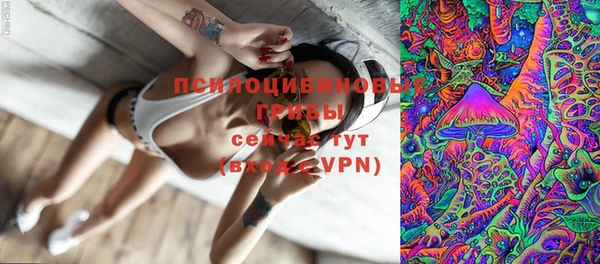 первитин Протвино